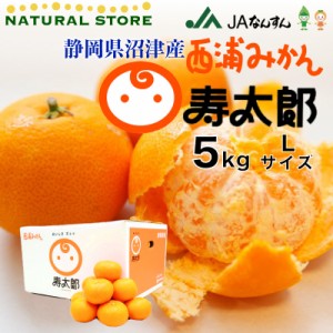 [予約 2023年12月1日-12月31日の納品]  寿太郎 寿太郎みかん 西浦ミカン寿太郎 5kg L 青島みかん 静岡県産 寿太郎みかん 西浦みかん 沼津