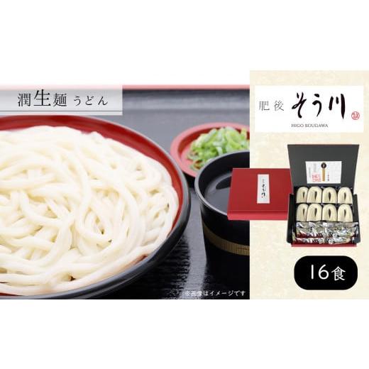 ふるさと納税 熊本県 玉名市 潤生麺 うどん 16食入り