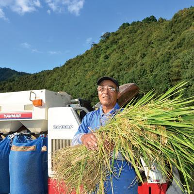 ふるさと納税 四万十市 しまんとのお米(ヒノヒカリ)10kg(5kg×2箱)×5回配送