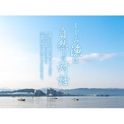 ふるさと納税 松江市 宍道湖産 冷凍大和しじみ 砂抜き済 Mサイズ 4.8kg