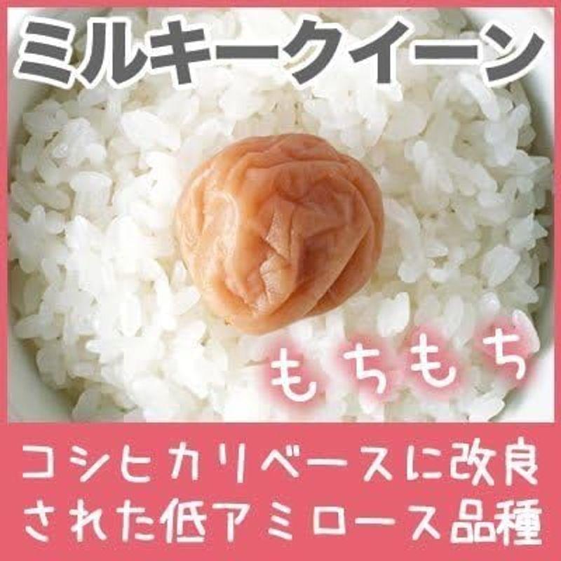 新潟県産 ミルキークイーン 玄米 5kg 令和4年産