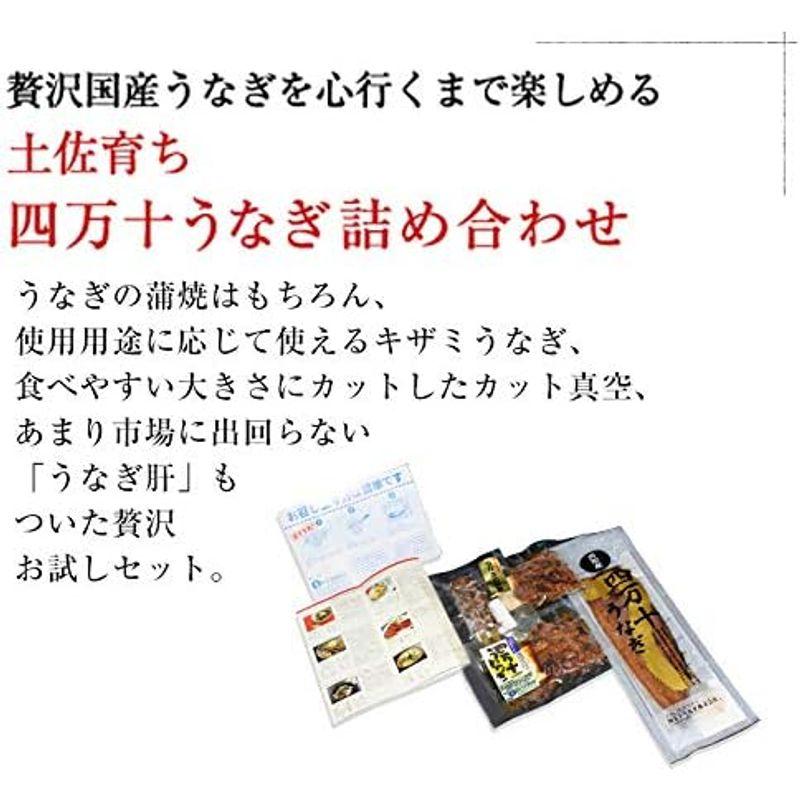 食品 魚耕 四万十 うなぎ蒲焼 国産 詰め合わせ セット お中元 ギフト