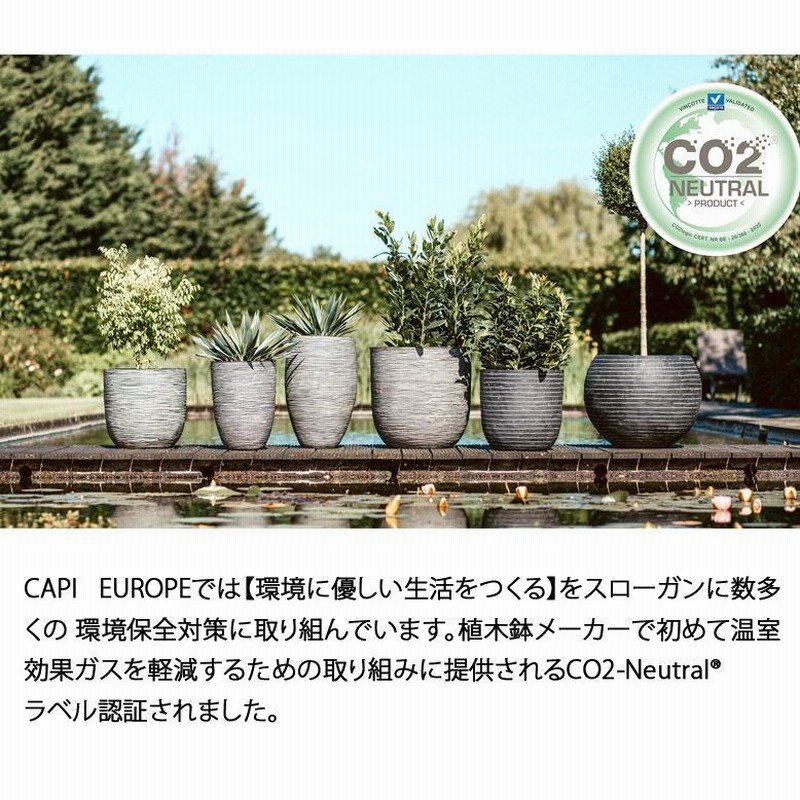 限定マット額装品/ゲルハルト・リヒター/Blumen(764-2) 【公式通販】