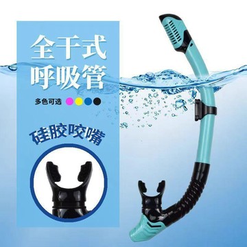 🛒臺灣24h🌳全乾式自由游泳訓練深浮潛水潛水呼吸管換氣裝備套