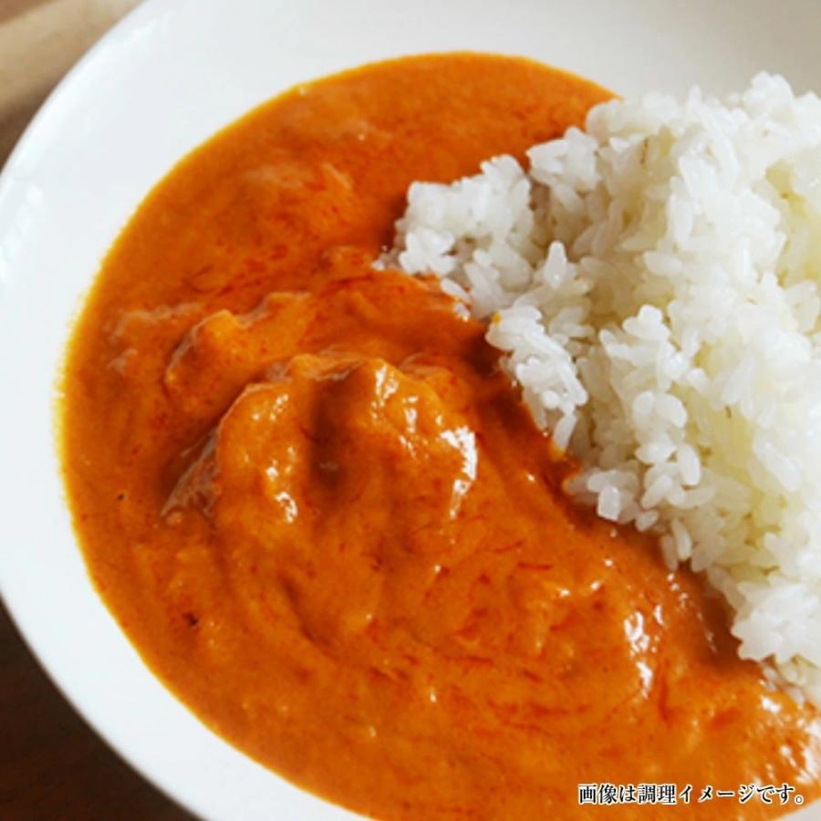 バターチキンカレー　＆　スリランカ風チキンカレー　会員価格500円　コンビセット　2人前　本格派　レトルト　お取り寄せ　メール便商品　お試しグルメギフト