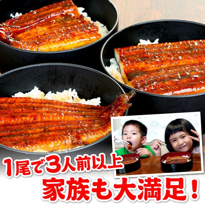 超特大うなぎ蒲焼 250g以上×4尾セット（8〜12人前） 国産うなぎ 蒲焼 1キロ 1kg 土用の丑の日 土用 丑の日 ご自宅用 お取り寄せ 簡易箱 冷凍 送料無料