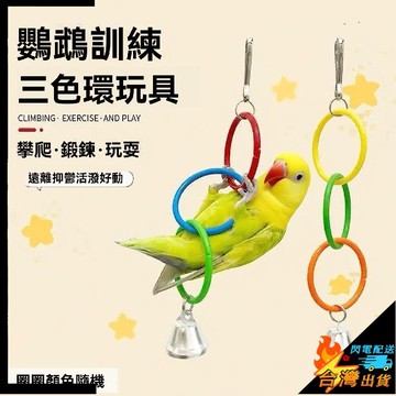 【台灣出貨】鸚鵡三色環 鳥籠配件 攀爬DIY圓環架 五色環 磨嘴啃咬 寵物用品 鳥玩具 小寵玩具