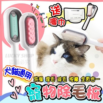 ??台灣現貨??寵物除毛梳??送紙巾 寵物清潔梳 寵物梳 引力清潔梳 除毛梳 寵物梳子 除毛刷 貓咪除毛梳 寵物毛刷 黏毛梳