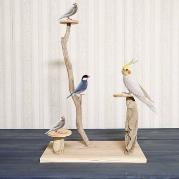 漂流木棲木【鳥兒王國的搖籃曲】鳥架、棲木、漂流木、漂流木藝術、裝飾架、145