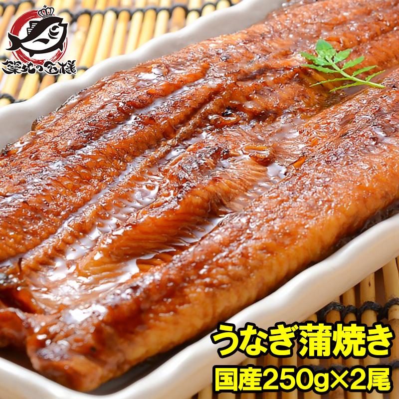 超特大 国産うなぎ蒲焼き 平均250g前後×2尾 タレ付き （国産 うなぎ ウナギ 鰻）