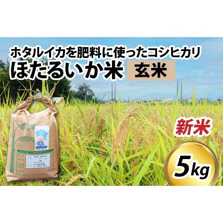 ふるさと納税 ほたるいか米（新米 玄米５kg） 富山県滑川市