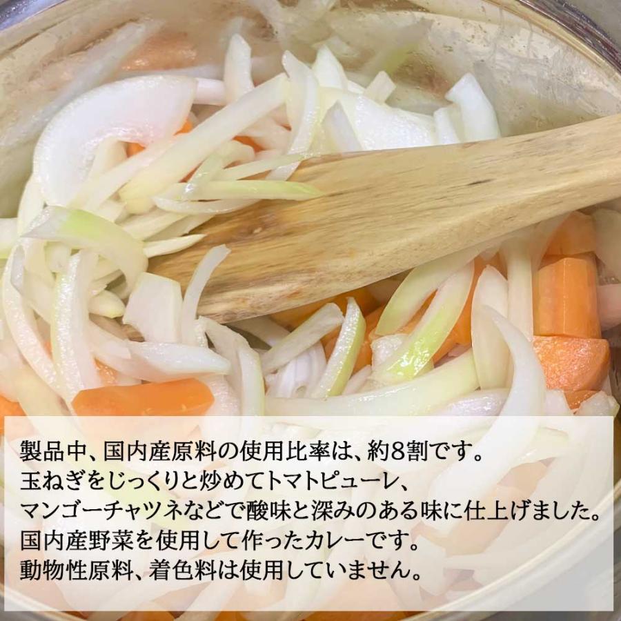 ベジタリアンのための野菜カレー(中辛)　200g［桜井食品］国産野菜使用　インスタント