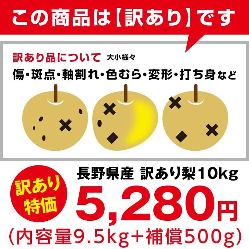 訳あり 梨 10kg 送料無料 長野県産 選べる品種！ 幸水 豊水 二十世紀