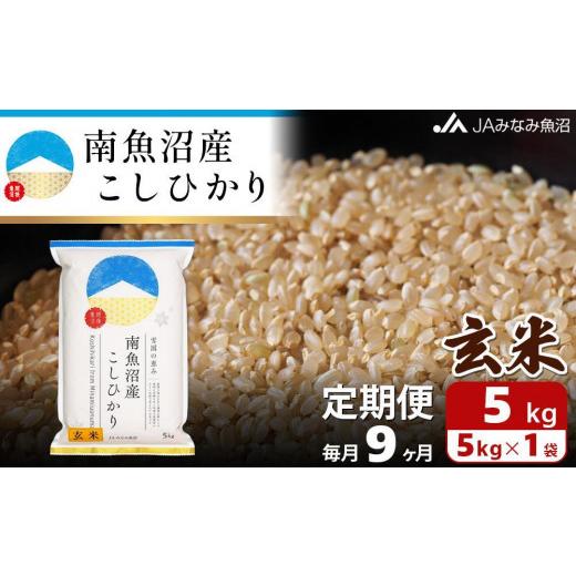 ふるさと納税 新潟県 南魚沼市 南魚沼産こしひかり玄米（5kg×全9回）