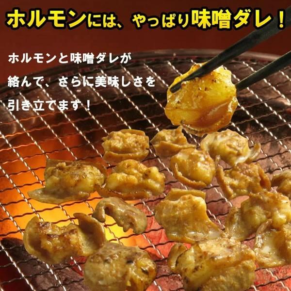 焼き肉 ホルモン 焼肉 牛ホルモン 味噌だれ漬け 200g 情熱ホルモン 情ホル バーベキュー BBQ 食品