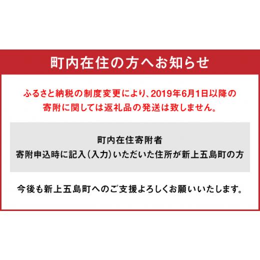 ふるさと納税 長崎県 新上五島町 手延五島うどん 地獄炊き ふし麺 セット [RAM010]