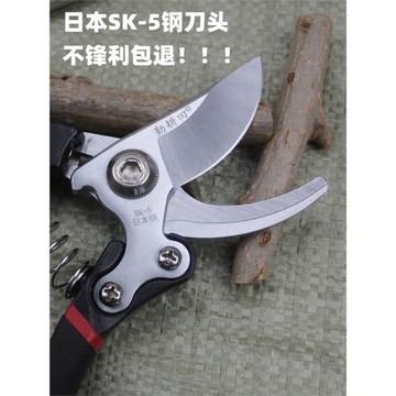 園林剪刀強力粗枝剪園藝剪子日本進口SK5不銹鋼樹枝專用剪修枝剪