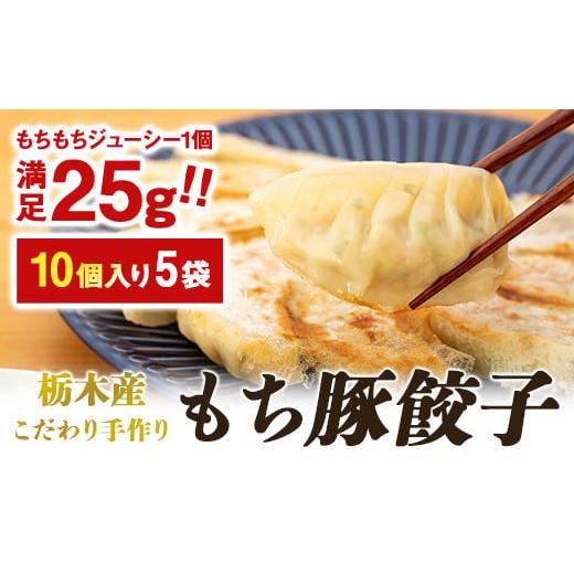 ふるさと納税 栃木県 栃木市 栃木産こだわり手作りもち豚餃子 食品 冷凍食品 惣菜 餃子 手作り 国産