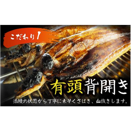 ふるさと納税 福井県 福井市 国産 活うなぎ蒲焼 約810g (約270g×3尾) [C-124004]