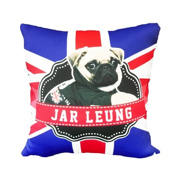 【 :toPET客製化】抱枕連枕芯