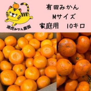 訳あり温州みかん１０ｋｇ（Ｍサイズ指定）