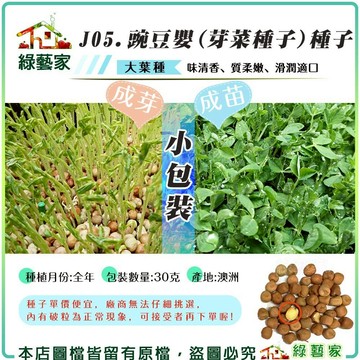 【綠藝家】J05.豌豆嬰種子30克(芽菜種子)芽菜類種子