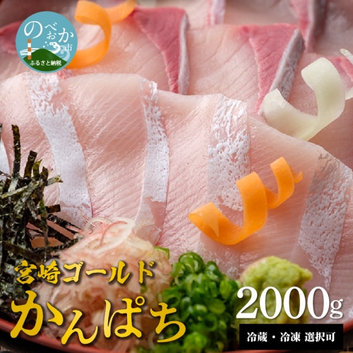 宮崎産 新海屋 鰤屋金太郎 宮崎ゴールドカンパチ 2000g　冷凍　C904_2