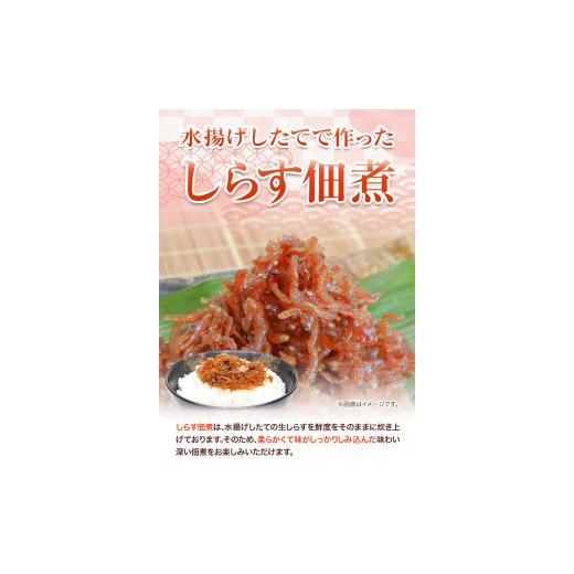 ふるさと納税 和歌山県 紀の川市 しらす・佃煮2色セット「匠B」 takumi 大五水産 《30日以内に順次出荷(土日祝除く)》 和歌山県 紀の川市 しらす 佃煮 セット