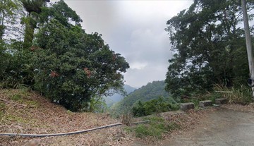 專任南投竹山十三甲碳權首選美林地｜南投縣竹山鎮圓山段