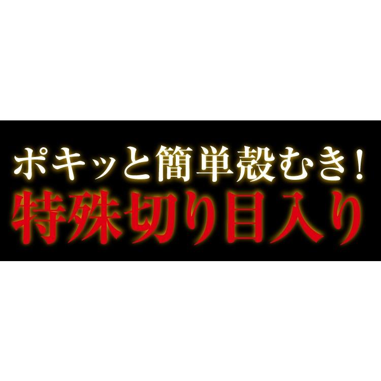 カニ かに ギフト ズワイガニ 蟹 ずわい　殻に切れ目入で楽＆旨茹で済みで即美味しい 本ズワイ蟹1.2kg 冷凍便 魚介類 海産物 海鮮