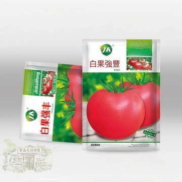 🍅原廠大包裝 白果強豐番茄種子（約200粒） 老品種大果西紅柿種子 農家沙瓤大粉番茄四季蔬菜種子 /原裝包對版