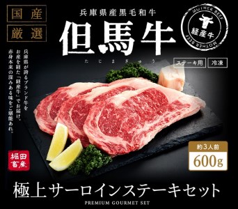 020AA02N.いちかわ精肉店「サーロインステーキ」200ｇ×3