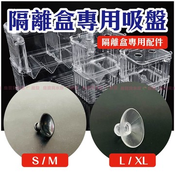 魚寶貝✨超值加購【多功能隔離盒】專用吸盤 (隔離箱、產子盒、孵化箱、產卵盒、孔雀魚、仔魚、幼魚、鬥魚、小魚產房、仔魚產房