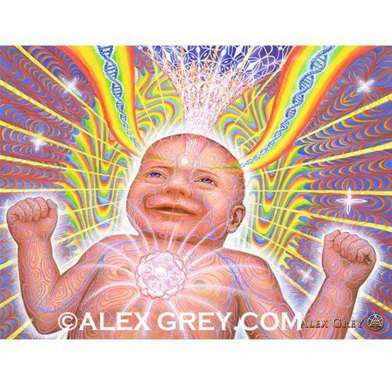 ALEX GREY アレックスグレイ ポスター「Newborn」 | LINEショッピング