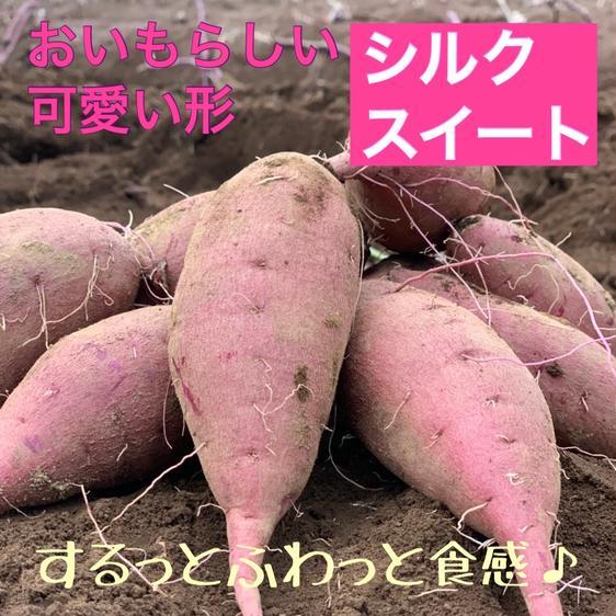 野菜 さつまいも DI farm 農家直送 熟成 さつまいも シルクスイート　 産地直送