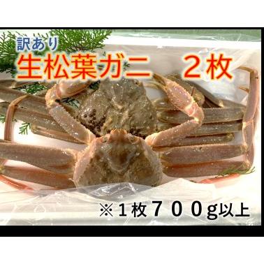 ふるさと納税 訳あり生松葉ガニ２枚セット 鳥取県鳥取市