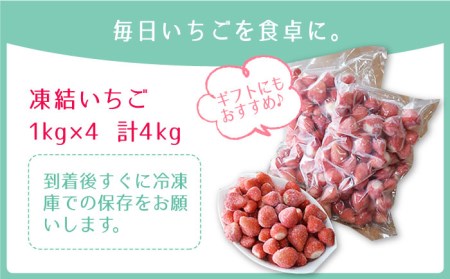 王様のいちご 摘みたてこおりいちご 4kg（冷凍いちご）いちごさん さがほのかフルーツ 果物 イチゴ [HAF004]