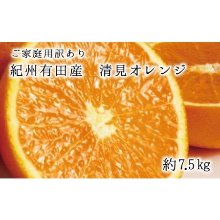 ふるさと納税 紀州有田産清見オレンジ 7.5kg  ※2024年3月下旬頃〜2024年4月下旬頃に順次発送予定(お届け日指定不可)【uo.. 和歌山県すさみ町