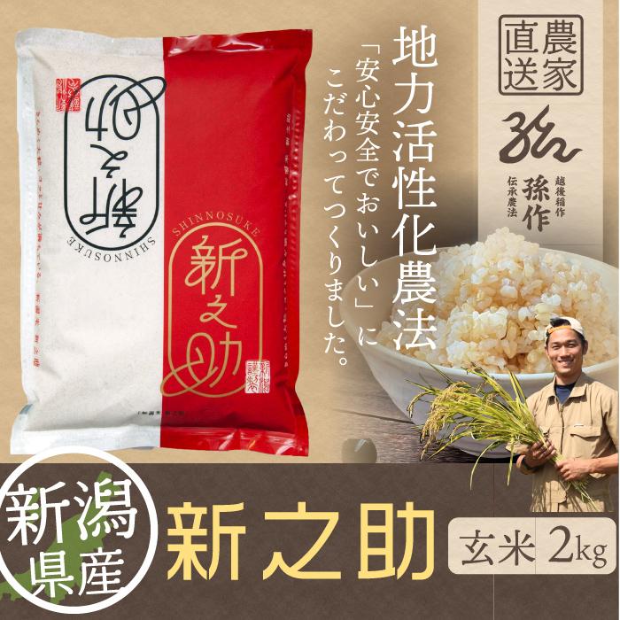 玄米 新潟県産 新之助 2kg 令和5年産 新米 しんのすけ 2キロ 農家直送 お米