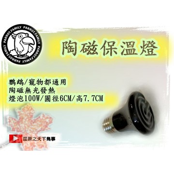 寵物保溫 鸚鵡保溫燈 加 陶瓷燈 鸚鵡 幼鳥保溫 鸚鵡燈泡