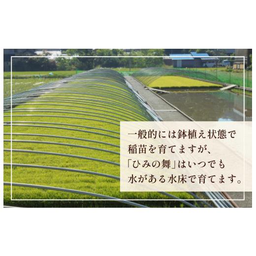 ふるさと納税 富山県 氷見市 令和5年産 富山県産 コシヒカリ ひみの舞 10kg  富山県 氷見市 コシヒカリ 令和5年度 こしひかり