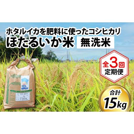 ふるさと納税 ほたるいか米（無洗米５kg）×3回 計15kg 富山県滑川市