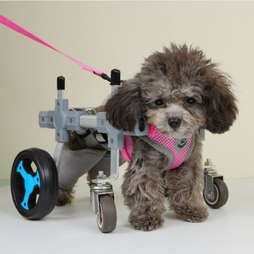 狗狗寵物輪椅 後腿支架 狗輪椅 寵物助力車 寵物輔助車 狗輪椅 後肢 殘疾狗狗 後腿輔助 寵物代步車大型小犬支架