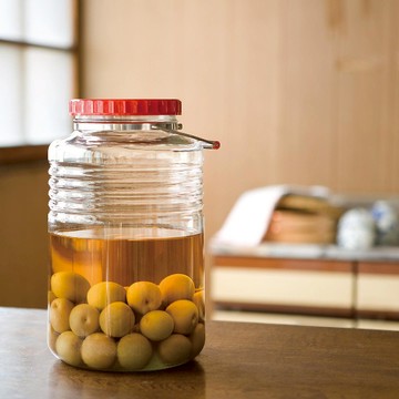 日本 ADERIA 手提式 復刻玻璃梅酒瓶 醃漬罐 附不銹鋼酒匙 4L