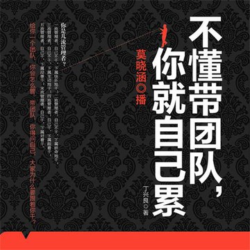 【有聲書】不懂带团队，你就自己累