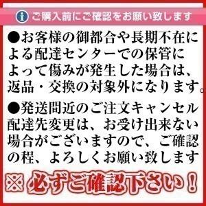 ステーキ 肉 牛肉 牛肉ステーキ かたまり お肉 ギフト 黒毛和牛 黒毛和牛ステーキ肉 御歳暮 山形牛 リブロース 300g (厳選山形牛ステーキ用リブロース300g)