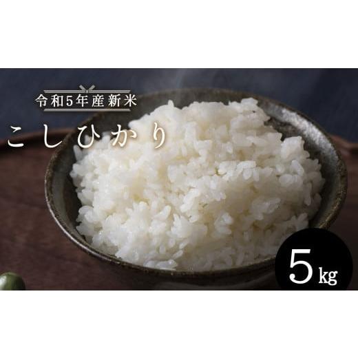 ふるさと納税 熊本県 苓北町 令和5年産 新米 こしひかり 5kg