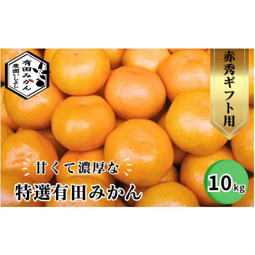 ふるさと納税 和歌山県 広川町 特選有田みかん 10kg ギフト用 赤秀 ※11月より順次発送予定 ※着日指定不可