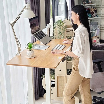 Flexispot 快裝式電動閱讀升降桌 (白腳木紋) [現貨]