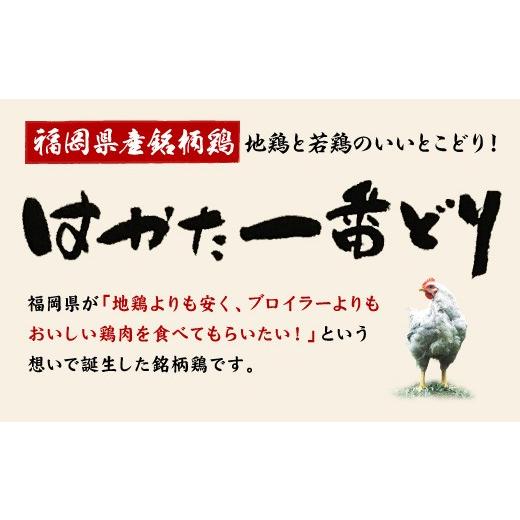 ふるさと納税 福岡県 古賀市 はかた一番どり チキンカツ　(株)あらい